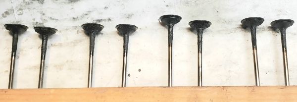 dirty_exh_valves.jpg