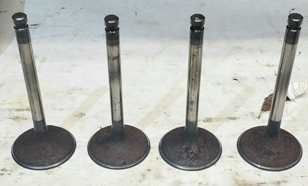 rusty_intake_valves.jpg