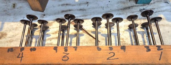 valves_-_very_dirty.jpg