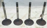 rusty_intake_valves.jpg